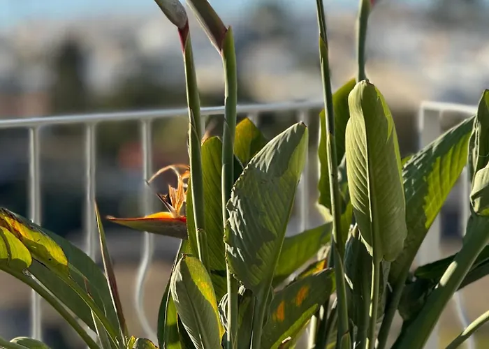 Luxury Modern Sea View Villa *