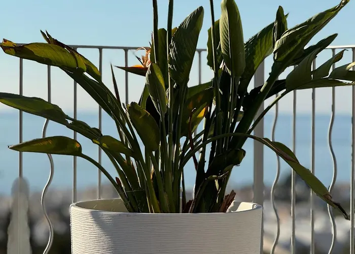 Luxury Modern Sea View